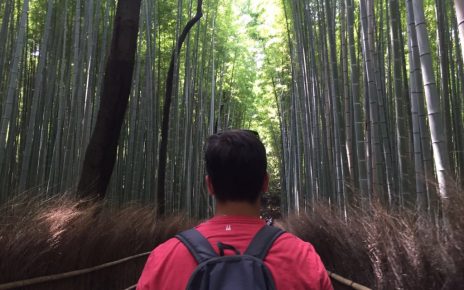 corredor de bambus em Arashiyama
