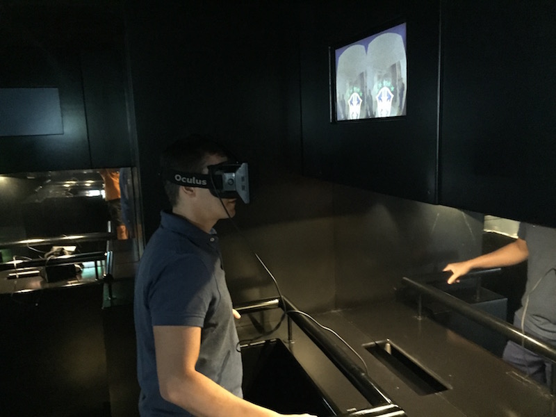 Realidade Virtual no Museu da Seleção Brasileira