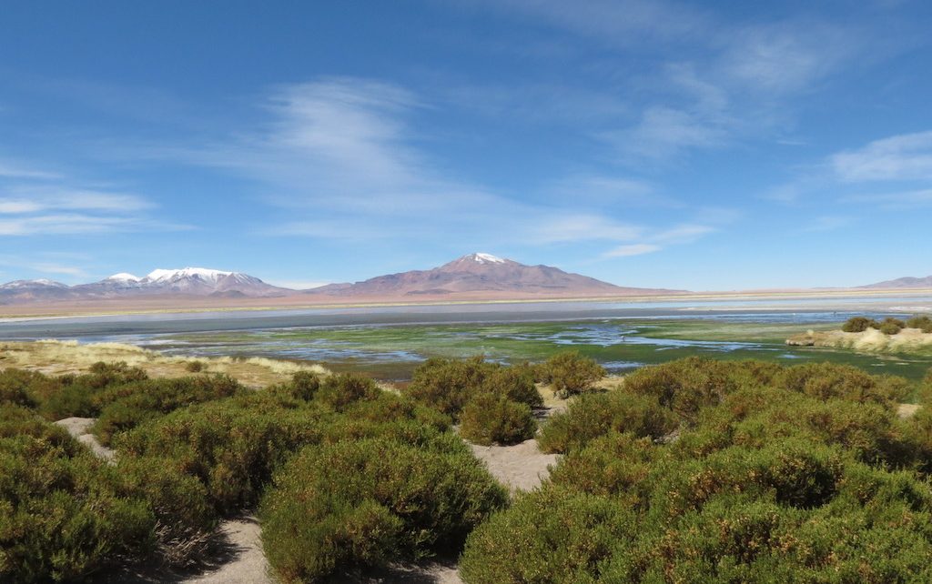 Salar de Tara no Atacama