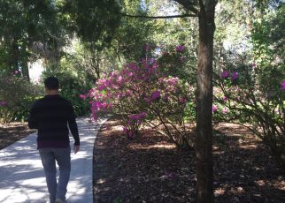 Jardim nos arredores de Orlando