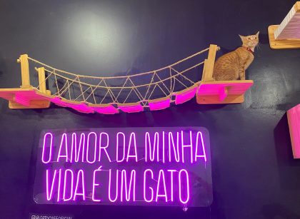 Gato Café em Botafogo
