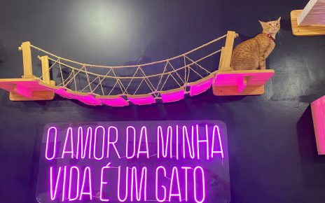Gato Café em Botafogo